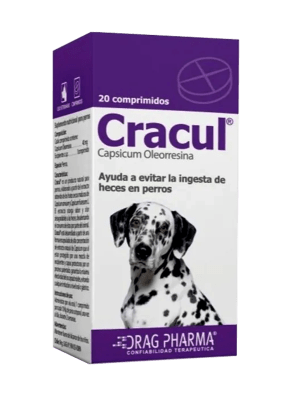 Cracul