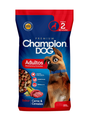 Champion Dog Adulto