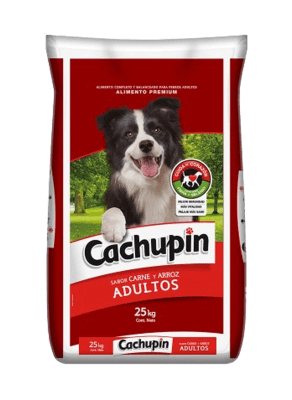 Cachupin Adulto
