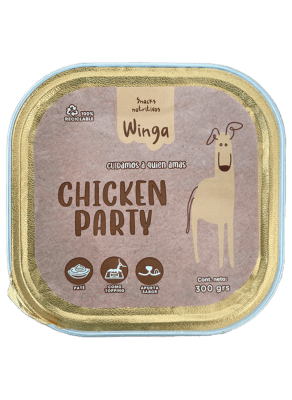 Snack Winga Chiken party1