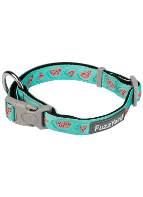 Collar Dog Fuzzyard Summer Punch1