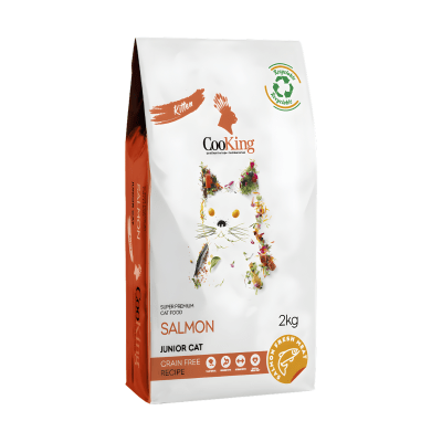 Cooking Cat Kitten