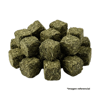 Cubos de Alfalfa1