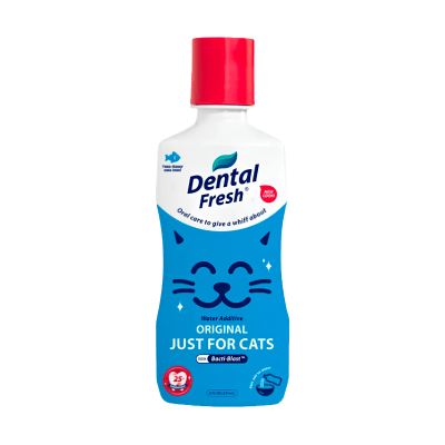 Dental Fresh Cat Original1