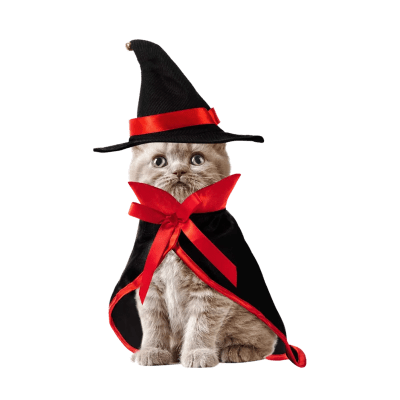 Difraz Brujos Gato