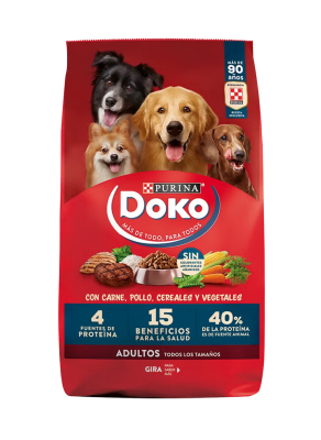 Doko Carne1