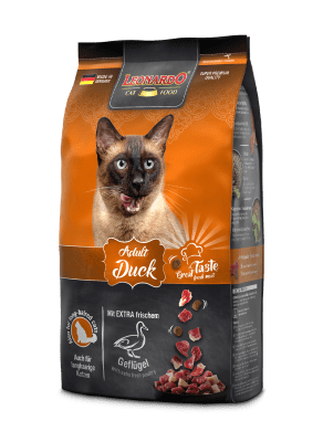 Leonardo Adulto Duck