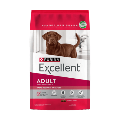 Excellent Dog