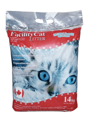 Arena Facility Cat