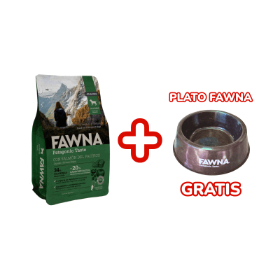 Fawna Dog Puppy Raza Pequeña