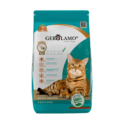 Gerolamo Gato Adulto Castrado