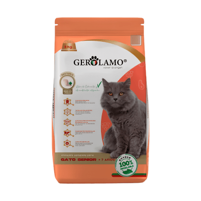 Gerolamo Gato Senior