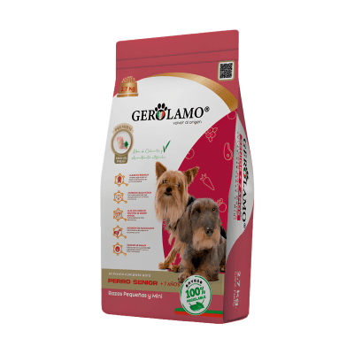Gerolamo Perro Senior Rp1