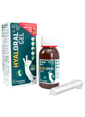 Hyaloral Gato Gel