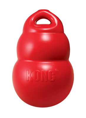 Kong Bounzer