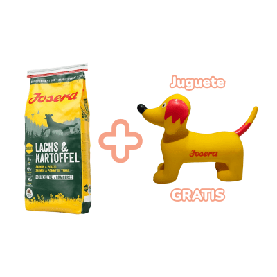 Josera Dog Lachs & Kartoffel