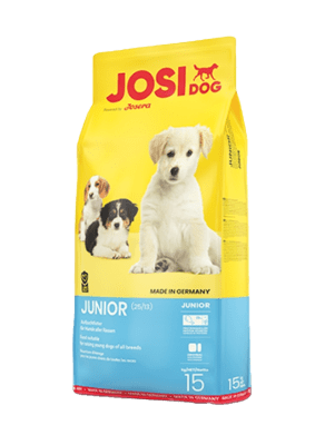 Josi Dog Junior1
