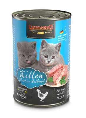 Lata Leonardo Kitten1