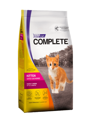 Vital Can Cat Kitten