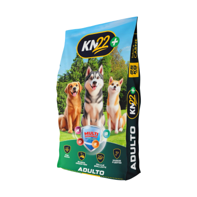 KN22