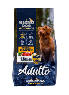 Knino adulto advanced