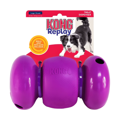 Kong Replay