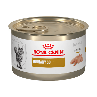 Lata Royal Canin cat Urinary S/O