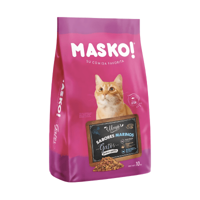 Masko Cat