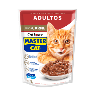 Sachet Master Cat Carne