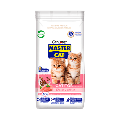 Master Cat Gatitos
