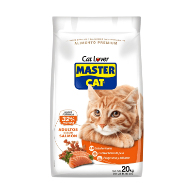 Master Cat Salmon