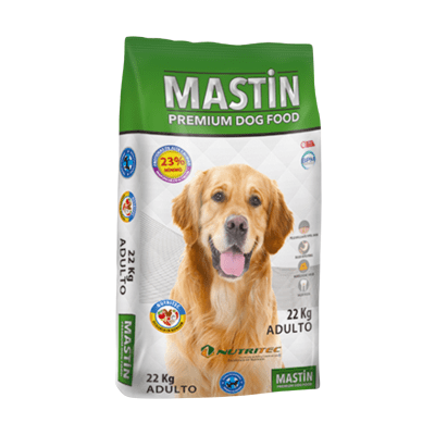 Mastín Adulto