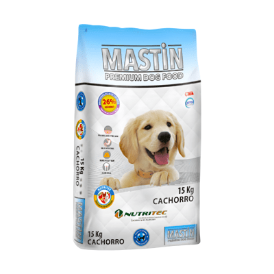 Mastin Cachorro1