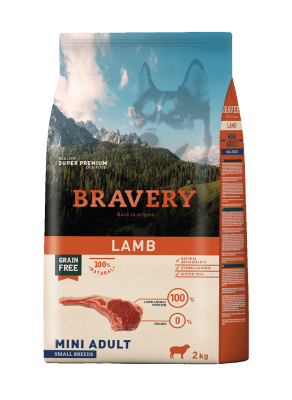 Bravery Dog Lamb Mini Adulto