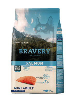 Bravery Dog Salmón Mini Adulto