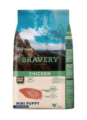 Bravery Dog Chicken Mini Puppy1
