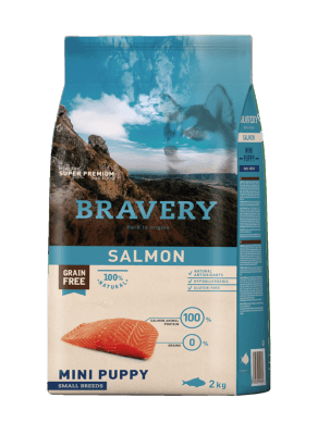 Bravery Dog Salmón Mini Puppy1