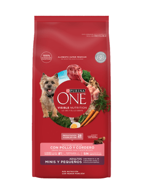One Dog Adulto Mini & Pequeños Cordero1