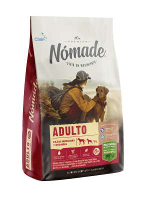 Nomade Adulto1