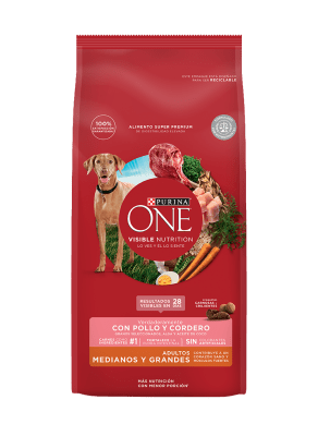 One Dog Adulto Med&Grande Cordero