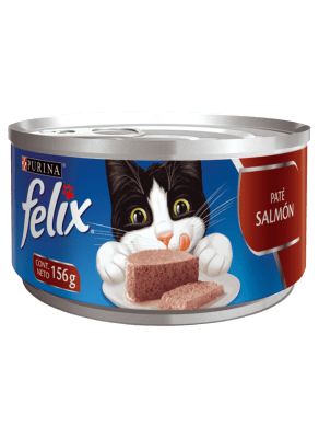 Lata Felix Pate Salmon