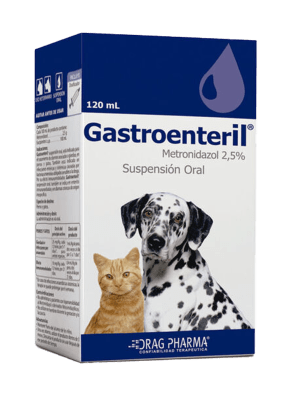 Gastroenteril Suspension