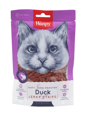 Wanpy Cat1