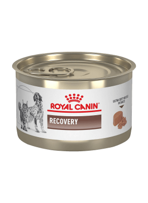 Lata Royal Canin Recovery1