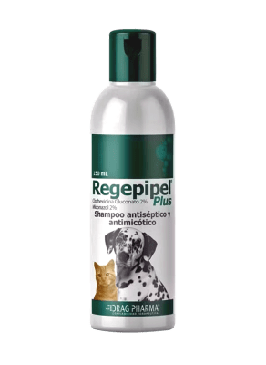 Shampoo Drag Pharma Regepipel Plus1