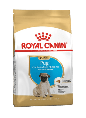 Royal Canin Dog Pug Puppy1