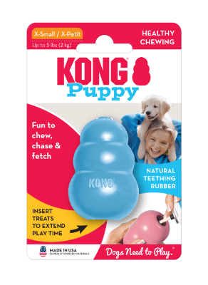 Kong Puppy