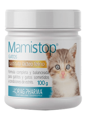 Mami Stop Gato