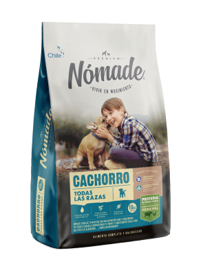 Nomade Cachorro