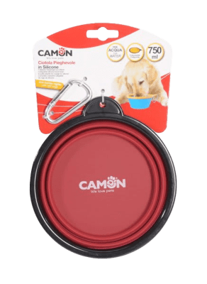 Plato Camon